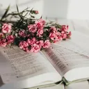 قصص وᤤ رﻭﯡاياات.