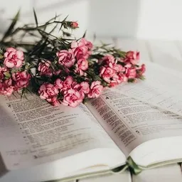 شعار قناة قصص وᤤ رﻭﯡاياات.