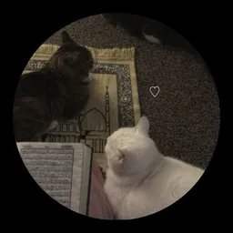 شعار قناة ℘ـمساتִ