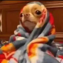 شعار قناة استيكرز