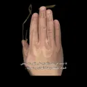 لااله الا الله