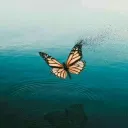 NogaMyWayOriflame25%Di