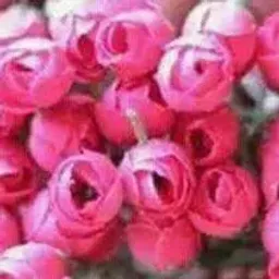 شعار أجمل الاغاني التركية