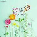 مول نور الشمس٢ للملابس