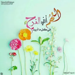 شعار مول نور الشمس٢ للملابس