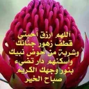 اعلانات للمصريين فقط