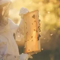 شعار ملتقي النحالة العرب