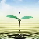 من كل بستان زهرة