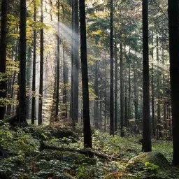 شعار دعم الصفحات الاجتماعية