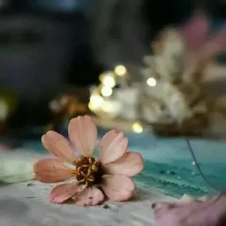 شعار منوعات وحالات