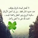 كل شيء في تركيا