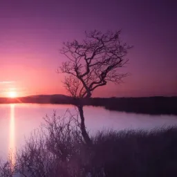 شعار السوريين في الريحانية 3