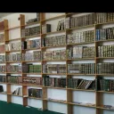 فوائد من بطون الكتب(19)