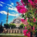 تجمع الفلسطنيين في اسطنبول