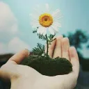 الحياة والأمل