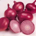 شركات تصدير البصل9⃣