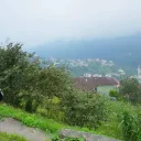 خدمة السوريين بريحانيه