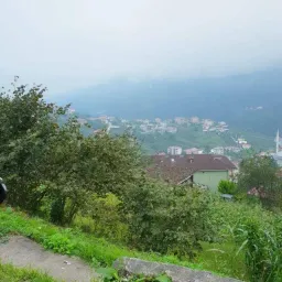 شعار خدمة السوريين بريحانيه