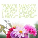 رسائل زوجيه