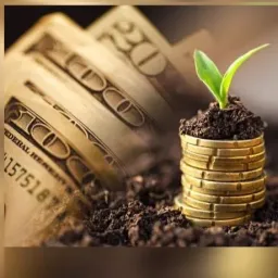 شعار 6Money and Business