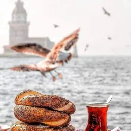 شعار خدمات عامة في اسطنبول (٤)