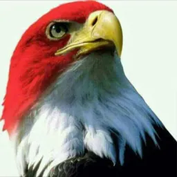 شعار تجارة ١