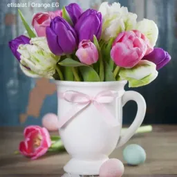 شعار تابلوهات وارفف مودرن 3