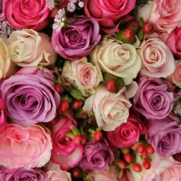 شعار خدمات ش العشريين والملكه