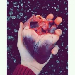 Logo °←نہبہضہآلقہلبہ→°