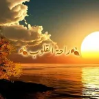 راحة القلوب