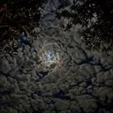 JO MAN || ْجُو مَ ٰن