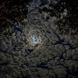 شعار قناة JO MAN || ْجُو مَ ٰن