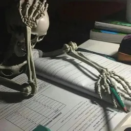 شعار قناة عشوائيات