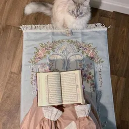 شعار قناة -اليـقين بالله.