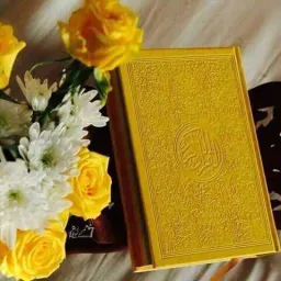 شعار قناة ❀ زَادُ المُسْلِم ❀ | ̶̶̶̶̶