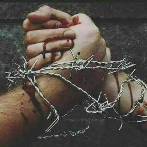 بوستات - مجموعة واتساب