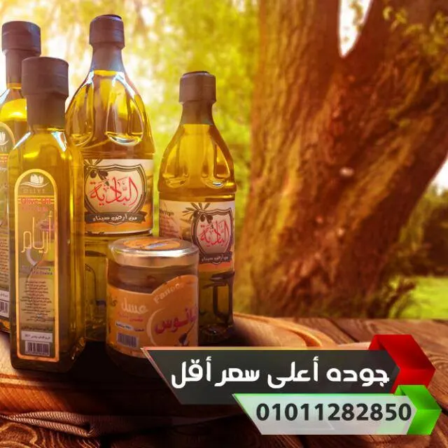 زيت زيتون الباديه (خام) - مجموعة واتساب