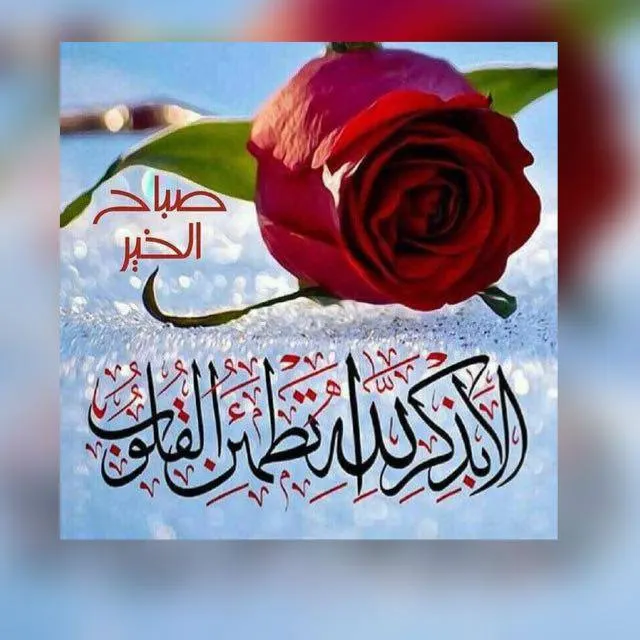 مزاد قطر - مجموعة واتساب