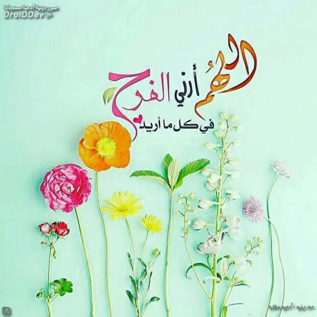 مول نور الشمس٢ للملابس - مجموعة واتساب