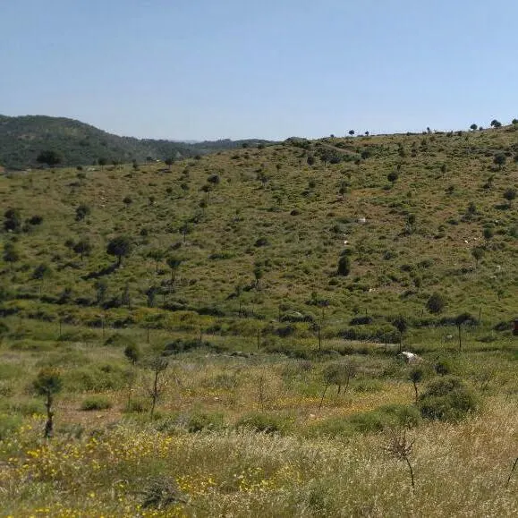 مراقبة القرارات الكملك - مجموعة واتساب