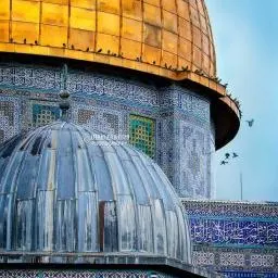 علاقات عامة تركيا - Groupe WhatsApp