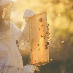 ملتقي النحالة العرب - مجموعة واتساب