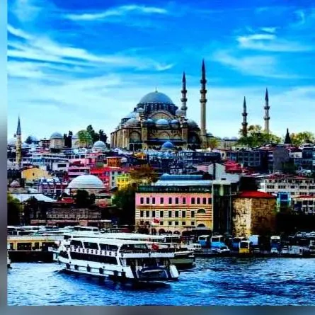 العرب والمصريين في بشاك شهير - مجموعة واتساب