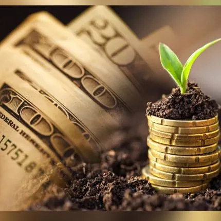 7Money and Business - مجموعة واتساب