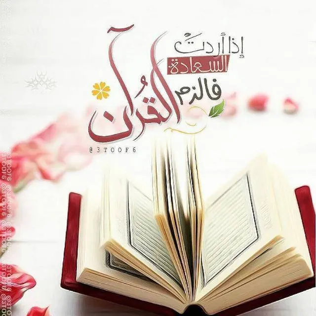 ☺ كل يوم صفحة من القران ☺ - WhatsApp Group