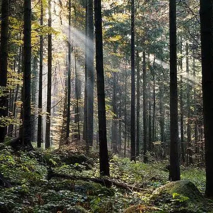 دعم الصفحات الاجتماعية - مجموعة واتساب