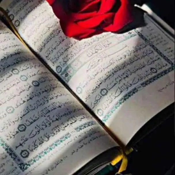القرآن الكريم - مجموعة واتساب