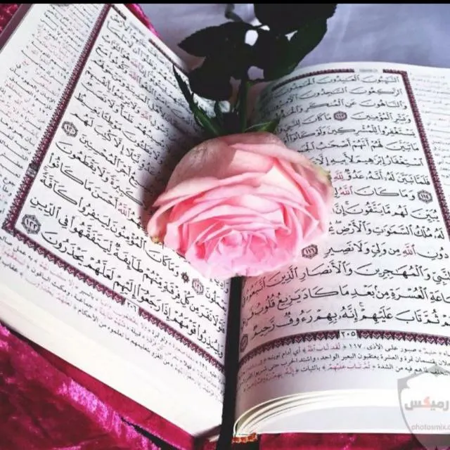 [ أخْلَاق أهْلُ القُرآن ] - مجموعة واتساب