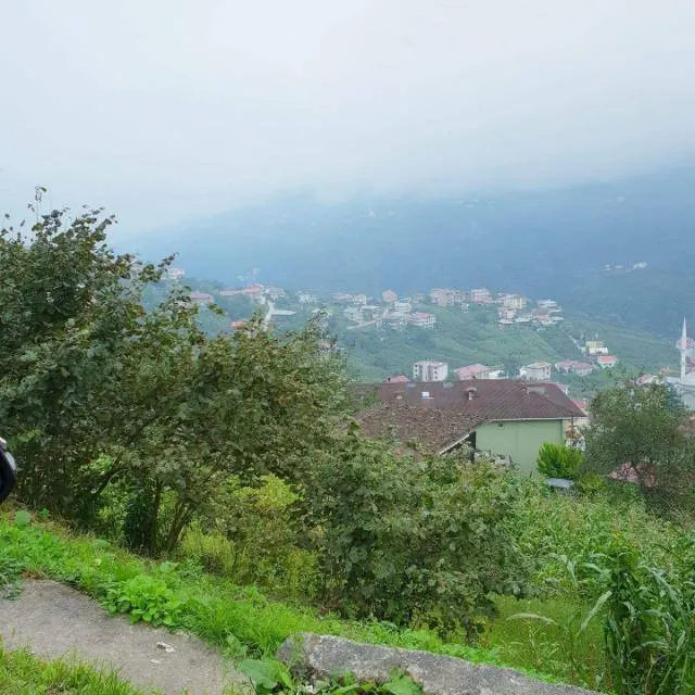 خدمة السوريين بريحانيه - مجموعة واتساب