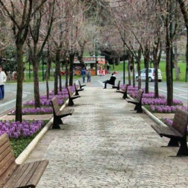 الأخوة  العرب في بورصة - مجموعة واتساب